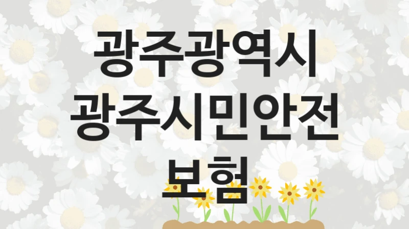 광주광역시
광주시민안전보험