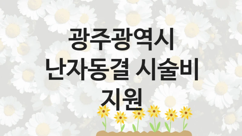 광주광역시
난자동결 시술비 지원