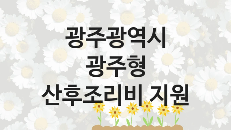 광주광역시
광주형 산후조리비 지원