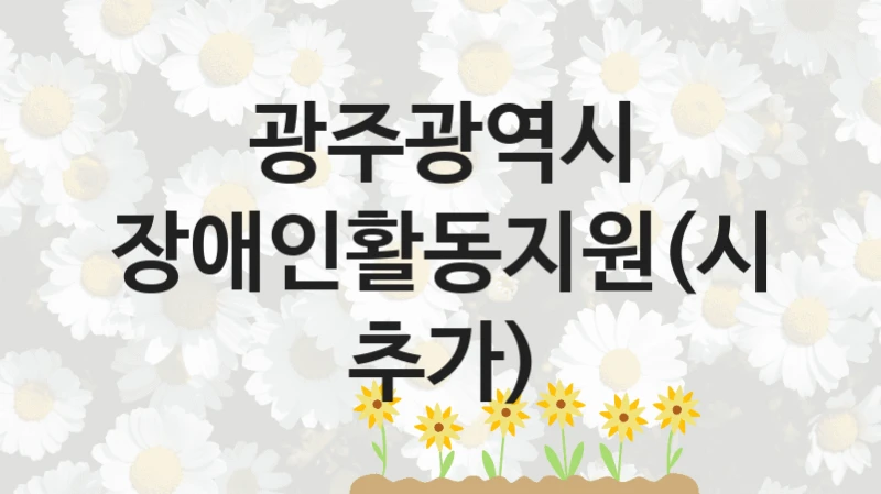 광주광역시
장애인활동지원(시 추가)