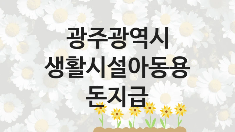 광주광역시
생활시설아동용돈지급