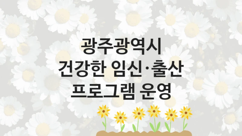 광주광역시
건강한 임신·출산 프로그램 운영