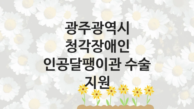 광주광역시
청각장애인 인공달팽이관 수술 지원