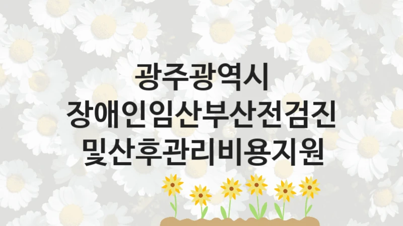 광주광역시
장애인임산부산전검진및산후관리비용지원