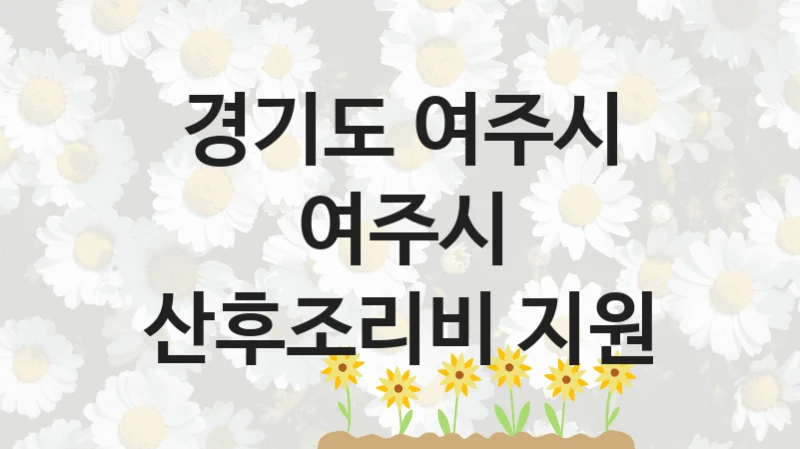 “여주시 산후조리비 지원” 지원 한도와 신청 기준 – 경기도 여주시 복지정책 요건 및 혜택 안내