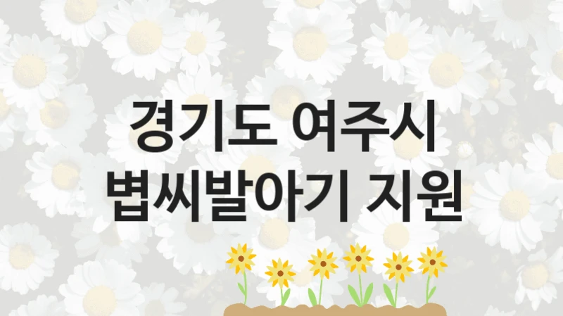 경기도 여주시 지원정책 “볍씨발아기 지원” 농정과 -신청 일정과 자격 조건