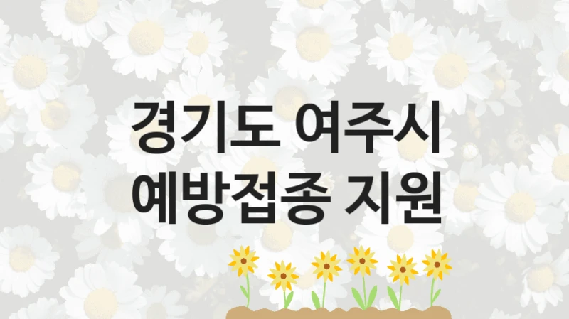 경기도 여주시 “예방접종 지원” 복지 지원 정책 – 신청 절차 및 필요 서류