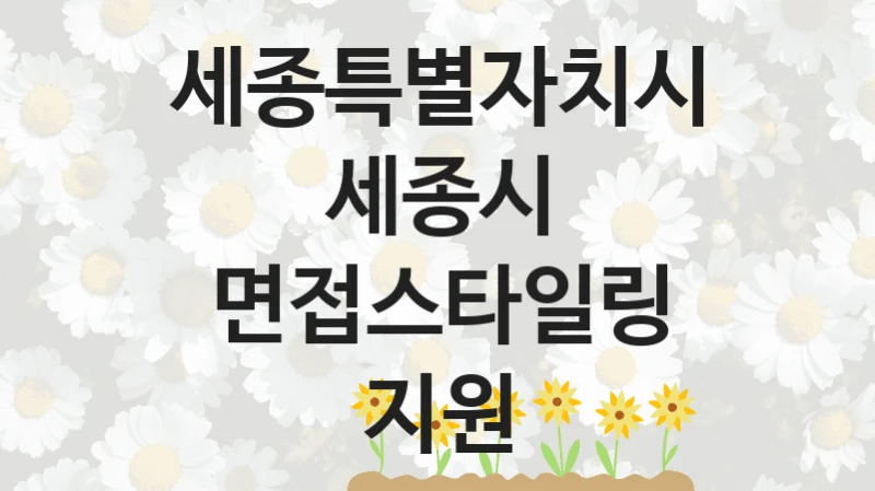 세종특별자치시, 세종시 면접스타일링 지원 지원 정책, 신청 방법과 자격 조건