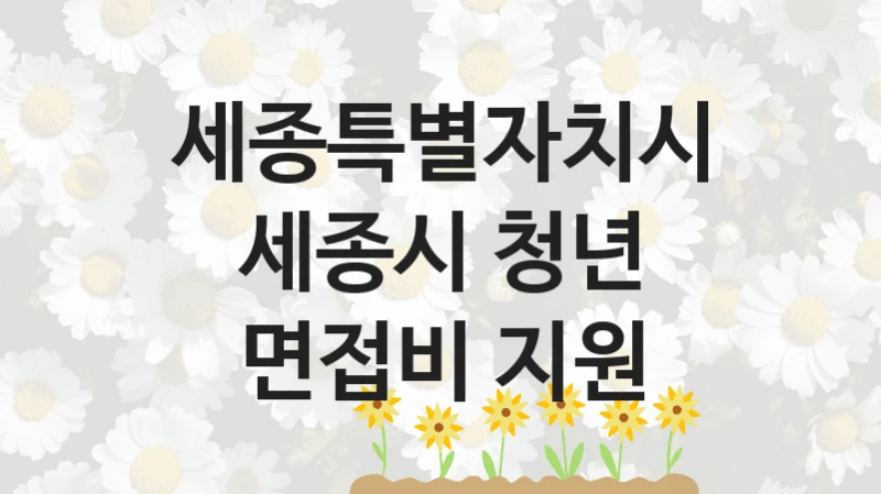 “세종시 청년 면접비 지원” 세종특별자치시 복지지원 혜택 – 자격 조건과 구비 서류