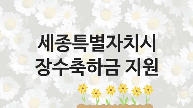 세종특별자치시
장수축하금 지원