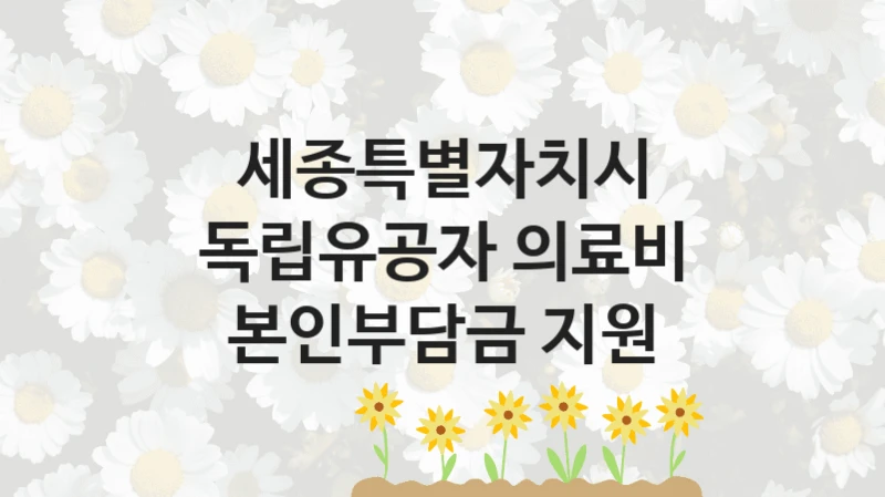 “독립유공자 의료비 본인부담금 지원” 혜택 대상자 조건 – 세종특별자치시 복지정책 요건 및 혜택 안내