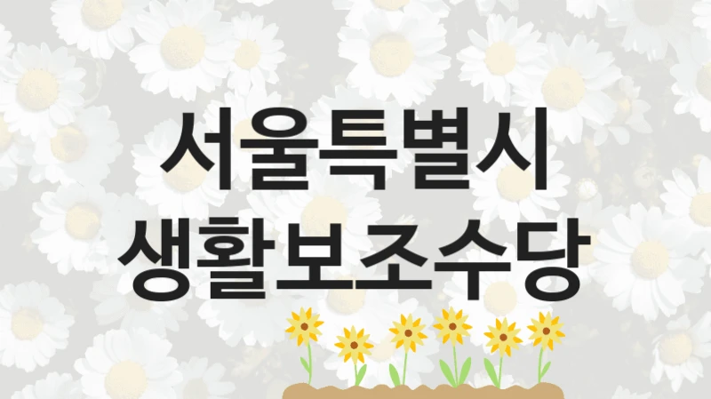 서울특별시
생활보조수당