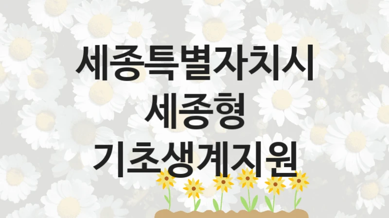 세종특별자치시
세종형 기초생계지원