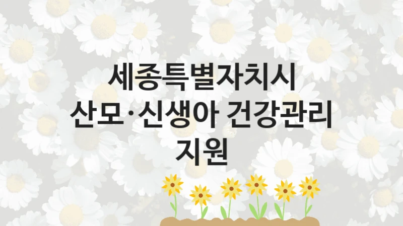 세종특별자치시
산모·신생아 건강관리 지원