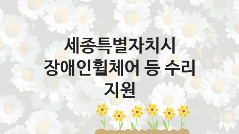 세종특별자치시
장애인휠체어 등 수리 지원
