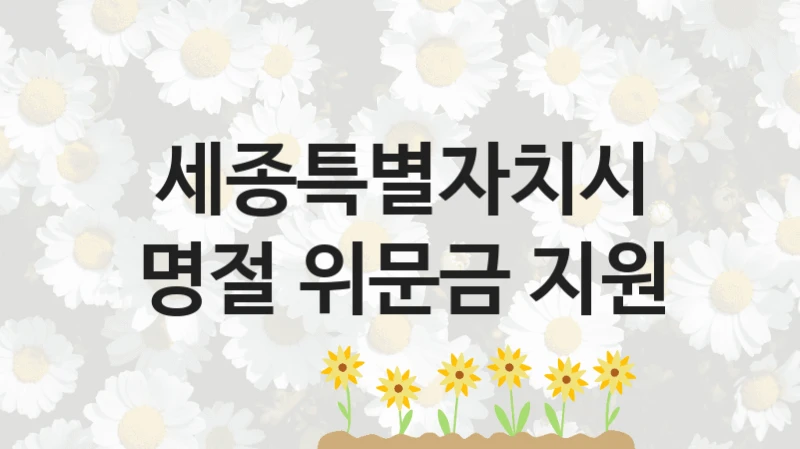 세종특별자치시
명절 위문금 지원