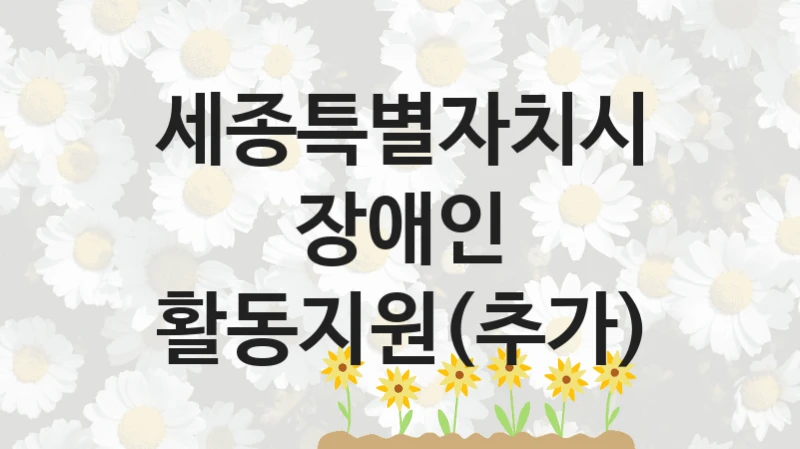 세종특별자치시, 장애인 활동지원(추가) 지원 정책정리, 신청 자격 조건과 구비 서류
