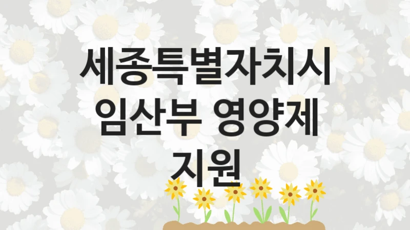 세종특별자치시
임산부 영양제 지원