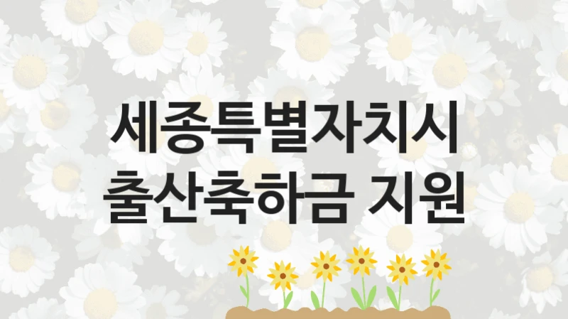 세종특별자치시
출산축하금 지원