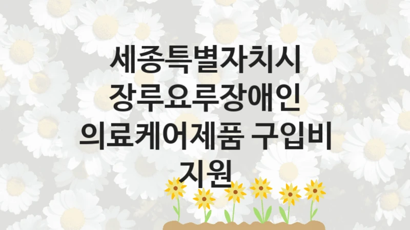 세종특별자치시
장루요루장애인 의료케어제품 구입비 지원