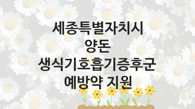 세종특별자치시 “양돈 생식기호흡기증후군 예방약 지원” 지원사업 자격 조건과 신청 일정