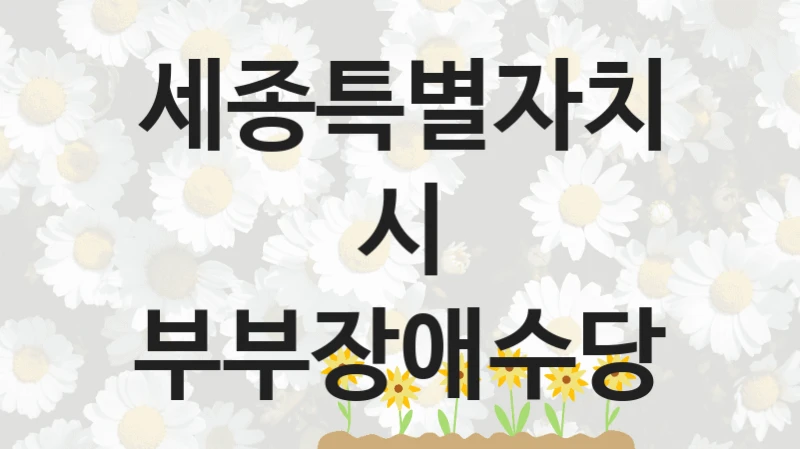 세종특별자치시 “부부장애수당” 복지 지원혜택 – 신청 방법과 구비 서류