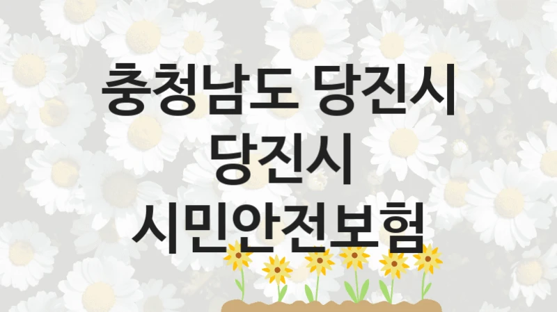 충청남도 당진시
당진시 시민안전보험