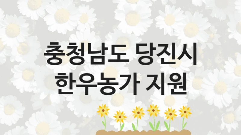 충청남도 당진시
한우농가 지원