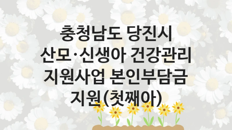 충청남도 당진시
산모·신생아 건강관리 지원사업 본인부담금 지원(첫째아)