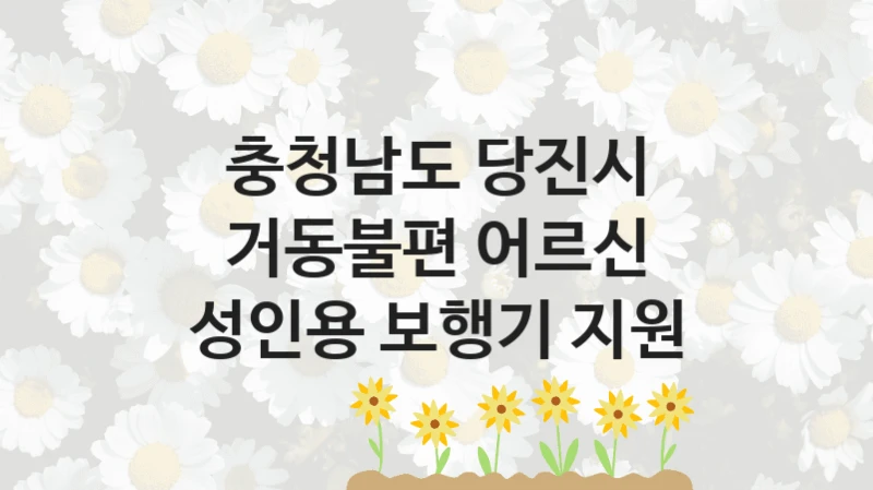 충청남도 당진시
거동불편 어르신 성인용 보행기 지원