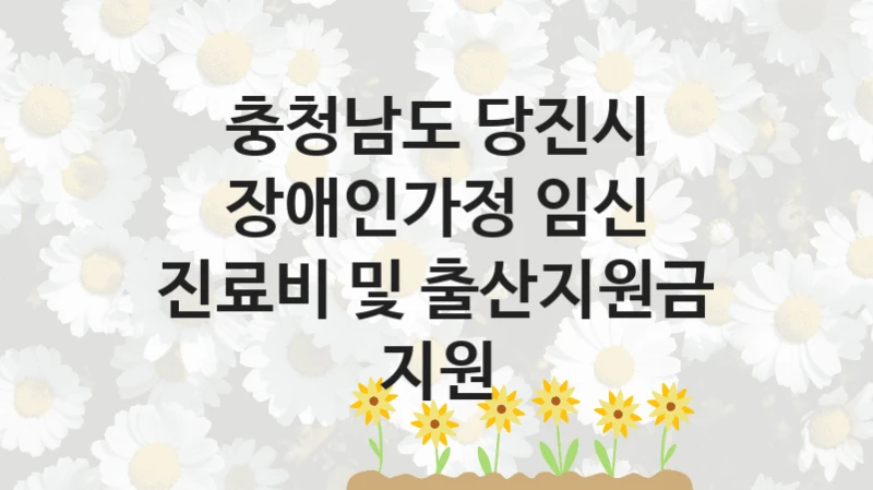 충청남도 당진시
장애인가정 임신 진료비 및 출산지원금 지원