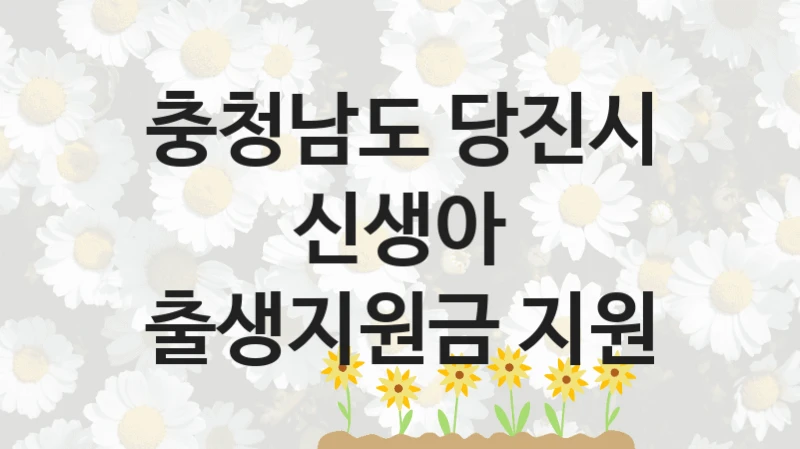 충청남도 당진시
신생아 출생지원금 지원