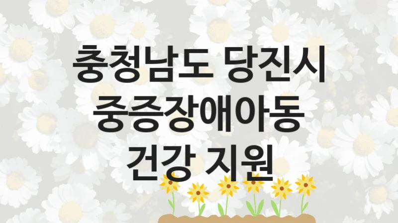 충청남도 당진시
중증장애아동 건강 지원