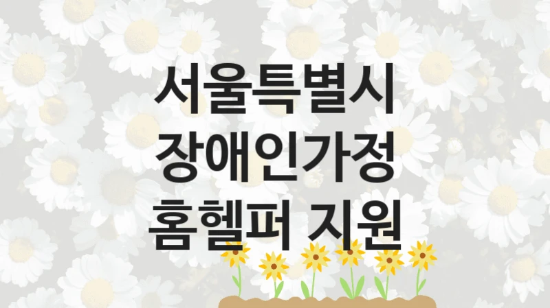 서울특별시
장애인가정 홈헬퍼 지원