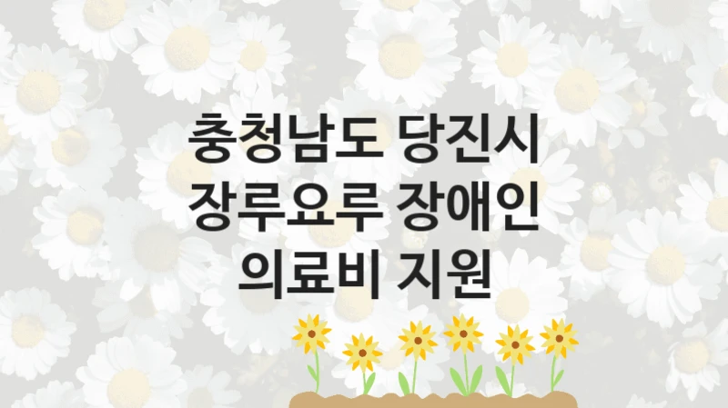 “장루요루 장애인 의료비 지원” 충청남도 당진시 복지지원 혜택 – 신청 조건과 자격 조건