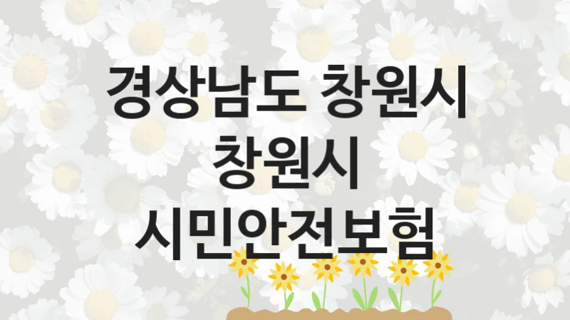 경상남도 창원시
창원시 시민안전보험