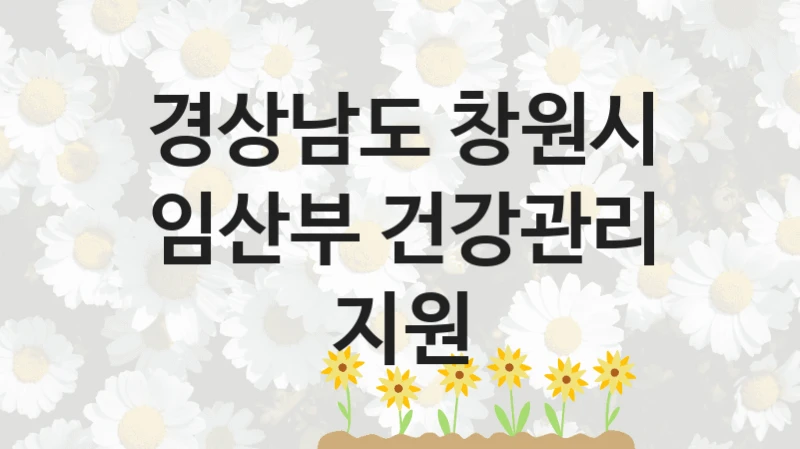 경상남도 창원시
임산부 건강관리 지원