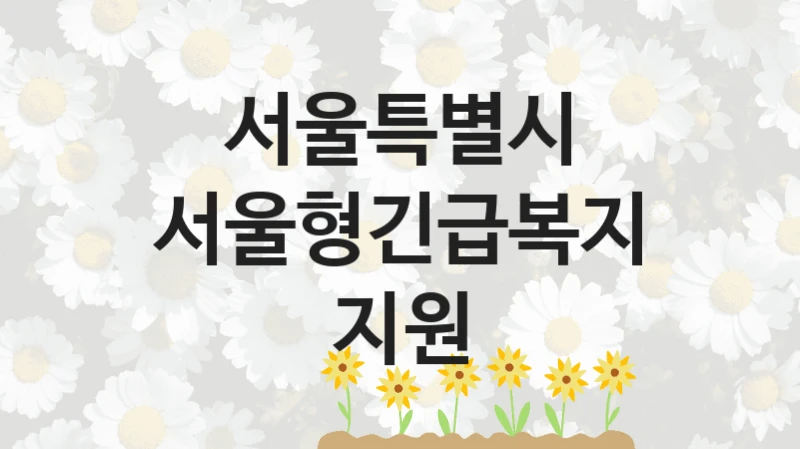 서울특별시
서울형긴급복지지원