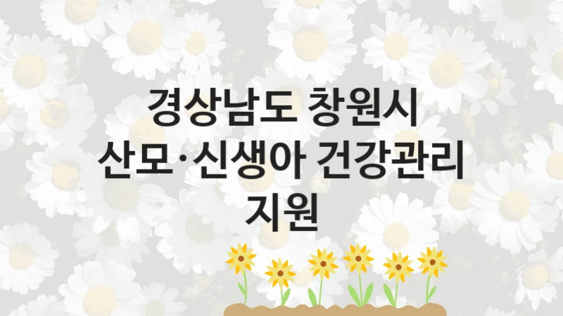경상남도 창원시
산모·신생아 건강관리 지원