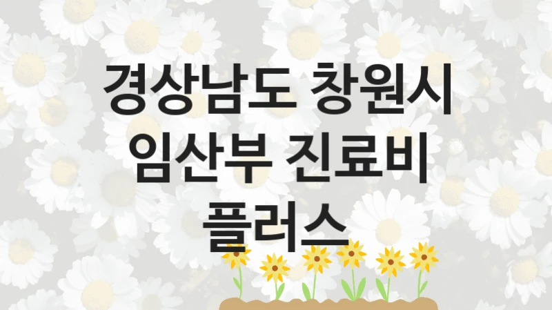 경상남도 창원시
임산부 진료비 플러스