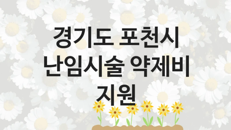 경기도 포천시
난임시술 약제비 지원