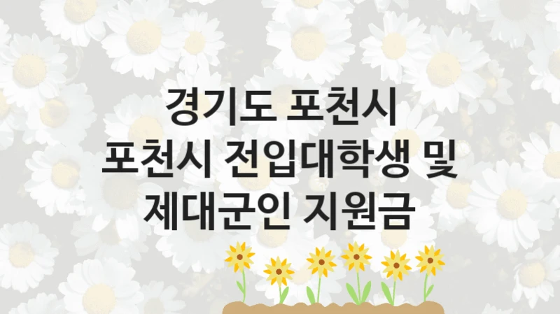 “포천시 전입대학생 및 제대군인 지원금” 경기도 포천시 복지지원 혜택 – 자격 조건과 구비 서류