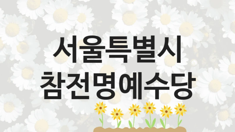 “참전명예수당” 지원 한도와 신청 기준 – 서울특별시 복지정책 요건 및 혜택 안내