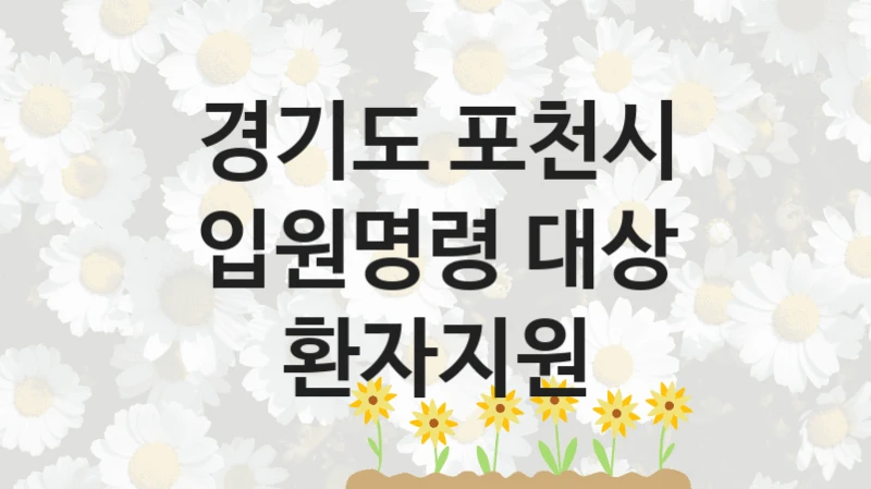 경기도 포천시
입원명령 대상 환자지원