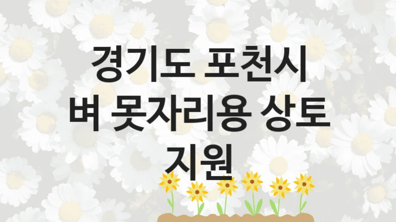 경기도 포천시
벼 못자리용 상토 지원