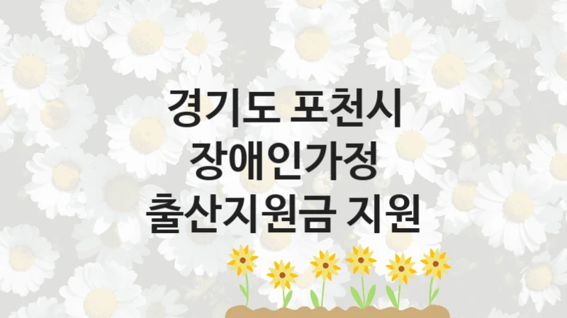 경기도 포천시 “장애인가정 출산지원금 지원” 신청 주요 정보 – 접수 마감일과 신청 절차