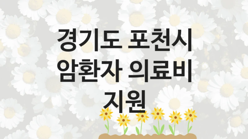 경기도 포천시
암환자 의료비 지원