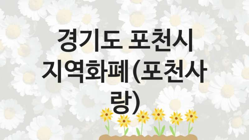지역화폐(포천사랑) 신청 가이드 – 경기도 포천시 복지 지원 혜택 정리