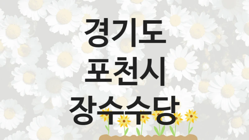 경기도 포천시
장수수당
