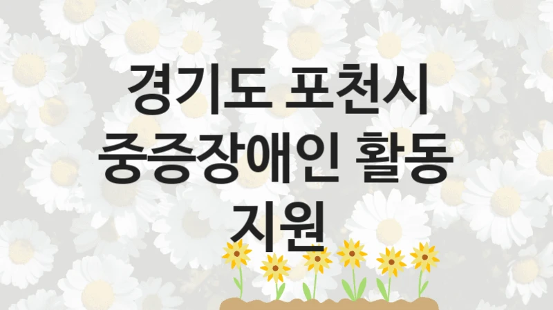 경기도 포천시 지원정책, 중증장애인 활동 지원, 자격 조건과 일정